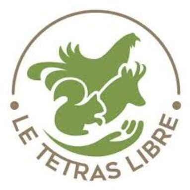 tétras libre.jpeg